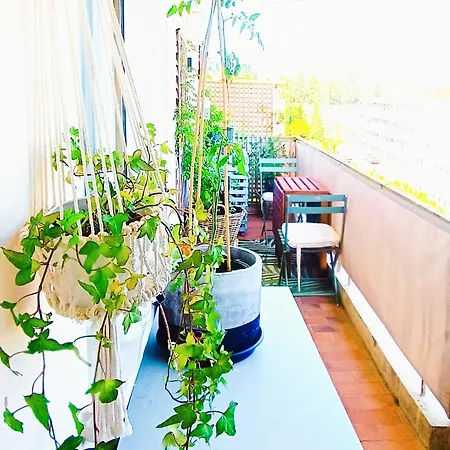 Apartment Nid Cosy